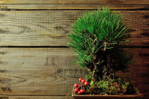 年末年始の営業日・営業時間について