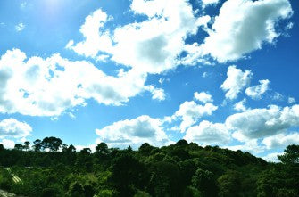 8月休業のお知らせ