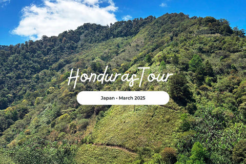 ホンジュラス出張報告