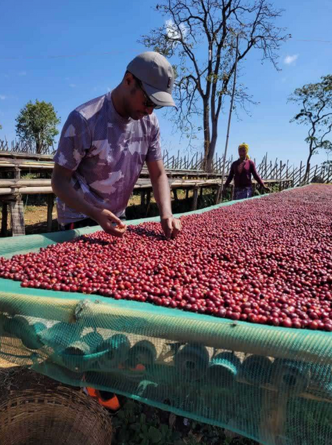 エチオピア マガリサ ブク ウォッシュド