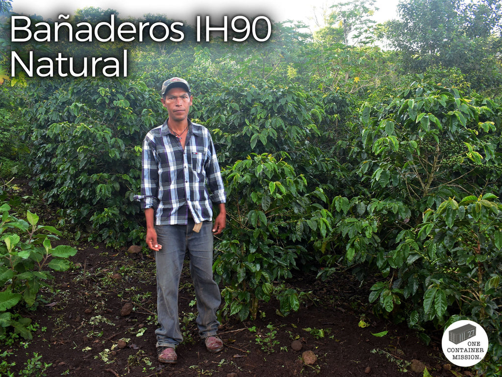 ワンコンテナミッション Honduras – 27 COFFEE ROASTERS