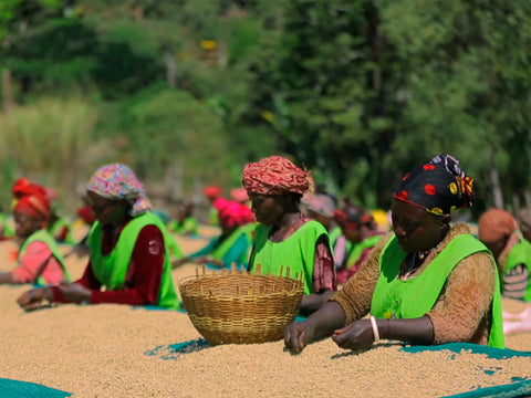 エチオピア バンコ ゴティティ ナチュラル