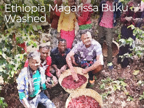エチオピア マガリサ ブク ウォッシュド