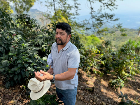 デヴィッド ムニョス パカス ウォッシュド