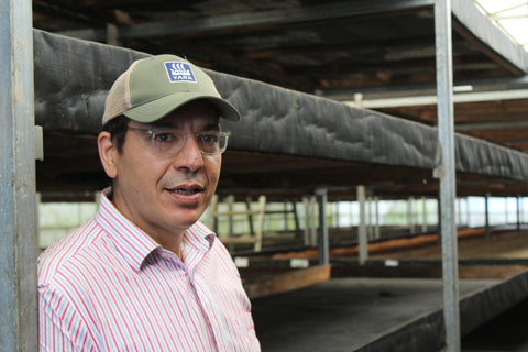 ネルソン ラミレス パライネマ ナチュラル