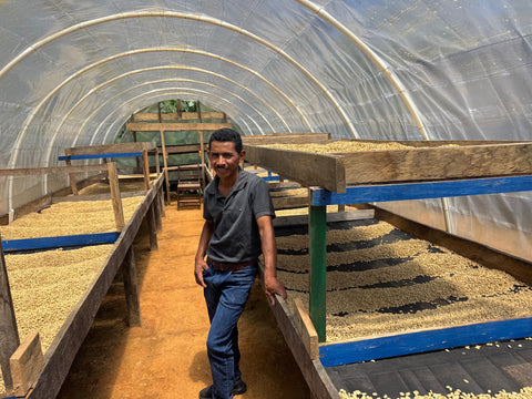 レナシミエント ウォッシュド BOP#13