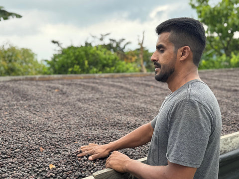 【 CoE品評会3位受賞】ナウン フェルナンデス ドリップバッグ