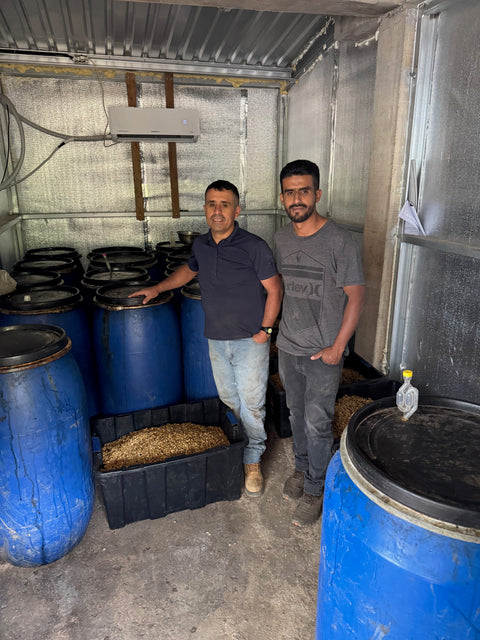 【CoE3位】ナウン フェルナンデス パライネマ ナチュラル