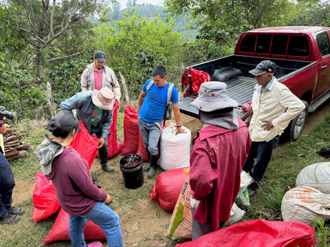 エヴィン モレノ パカス#4 アナエロビック ウォッシュド