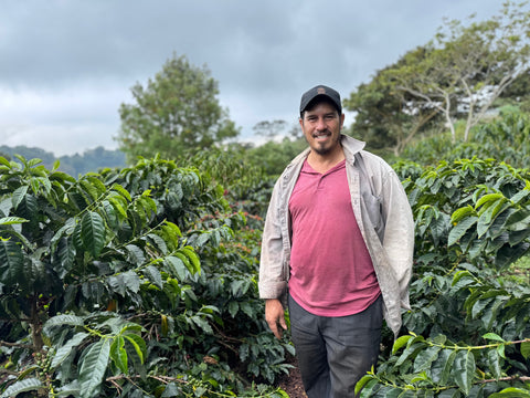 エヴィン モレノ SL28 アナエロビック ウォッシュド