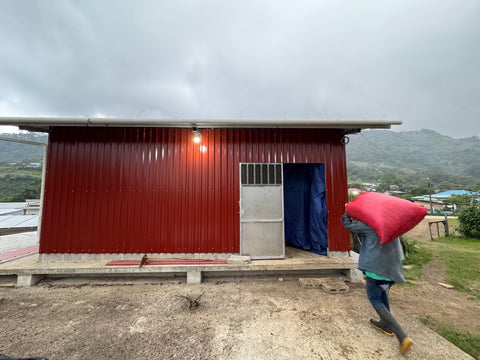 エヴィン モレノ パカス#4 アナエロビック ウォッシュド