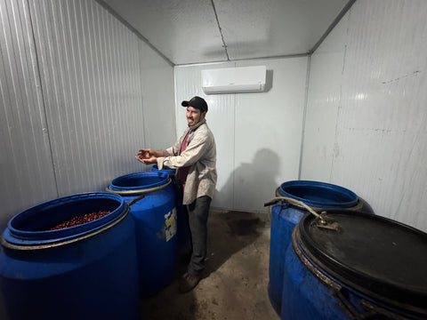 エヴィン モレノ パカス#4 アナエロビック ウォッシュド