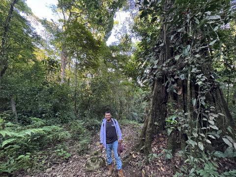 【カップオブエクセレンス品評会9位受賞】 ラ モンターニャ パカス ウォッシュド