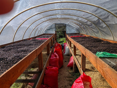 ファン フェルナンド ブルボン ナチュラル