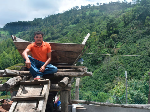 マニュエル マンシア ブルボン ナチュラル