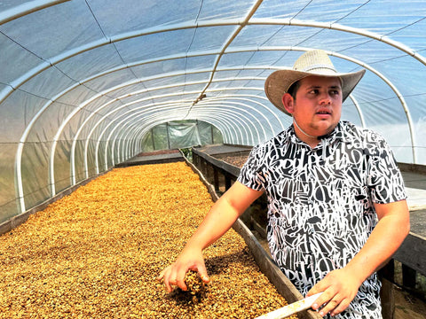 マイケル フェルナンデス パライネマ ハニー