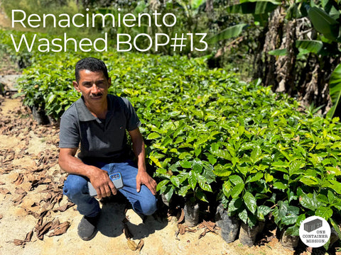 レナシミエント ウォッシュド BOP#13