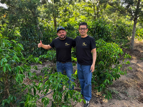 ククルーチョ ゲイシャ ハニー