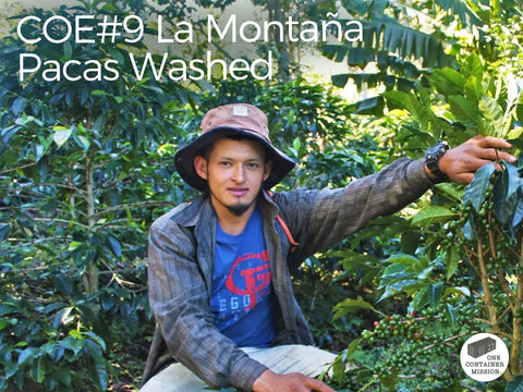 【CoE9位】ネリー マルティネス パカス ウォッシュド