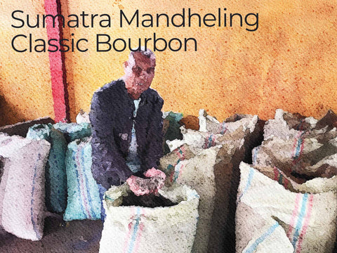 スマトラ マンデリン クラシック ブルボン