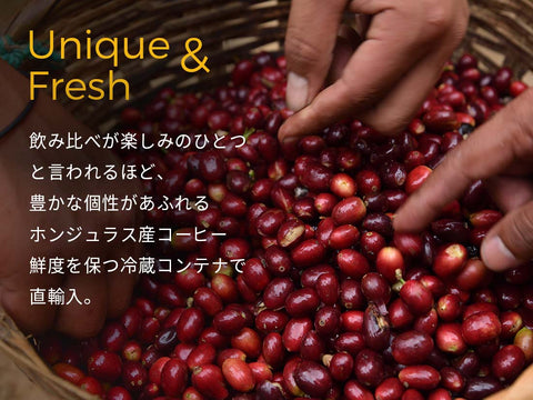 【オンライン限定&送料無料!!】27 ロースターズチョイス "ゲイシャシングルセット"