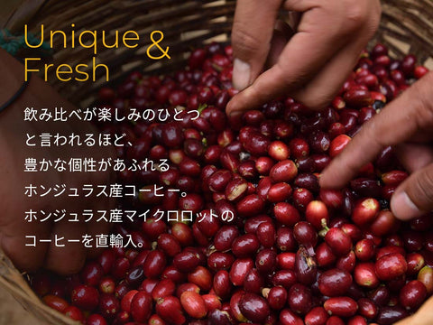 【WEB限定&送料無料】シーズナルブレンドセット