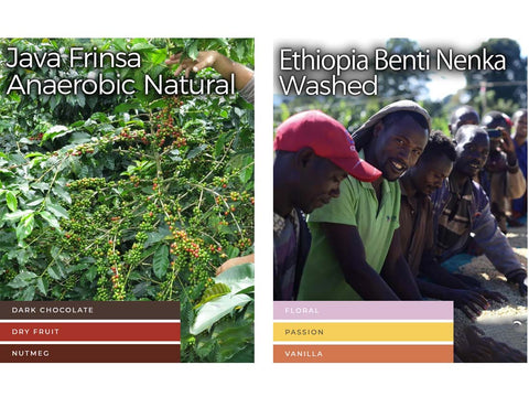 【オンライン限定&送料無料!!】27 ロースターズチョイス "ゲイシャシングルセット"