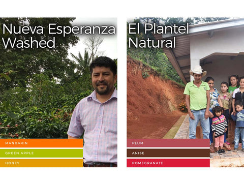 【オンライン限定&送料無料!!】27 ロースターズチョイス "ゲイシャシングルセット"