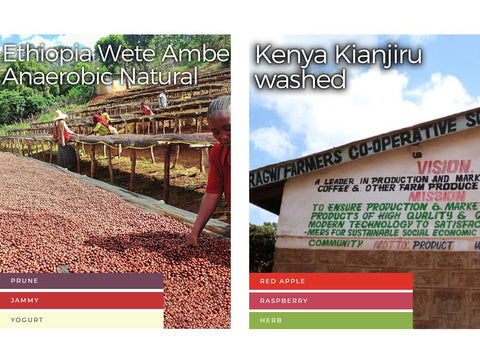 【オンライン限定&送料無料!!】27 ロースターズチョイス "ゲイシャシングルセット"