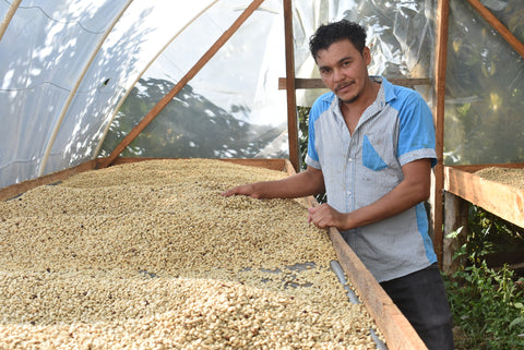 マニュエル マンシア ブルボン ナチュラル