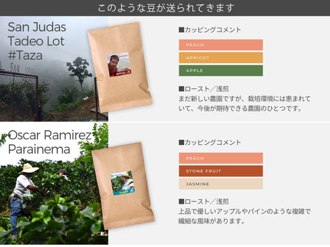 27 COFFEE 定期便 シングル400g-1ヶ月プラン