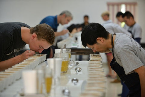 Group Cupping Beginner