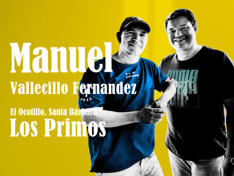 マニュエル ヴァジェシージョ カトゥアイ ウォッシュド