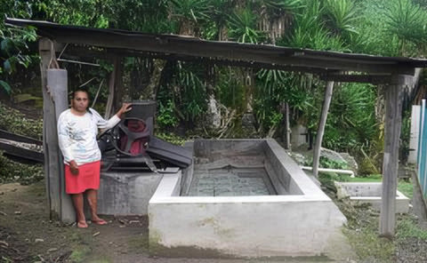 マリア エヴァロペス ティピカ ウォッシュド