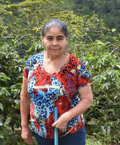 ホアキナ アルバラード ゲイシャ ウォッシュド