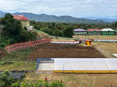 スマトラ マンデリン クラシック ブルボン