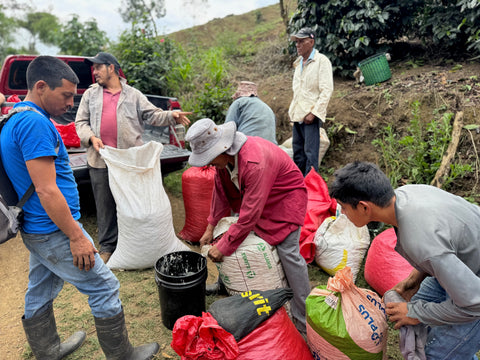 エヴィン モレノ SL28 アナエロビック ウォッシュド