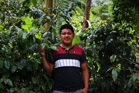 ホクソン メンドーサ ゲイシャ ウォッシュド