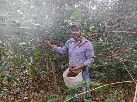 ファン フェルナンド ブルボン ナチュラル
