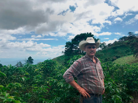 オルランド カルバハル ティピカ ナチュラル