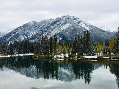 ウィンターフロー